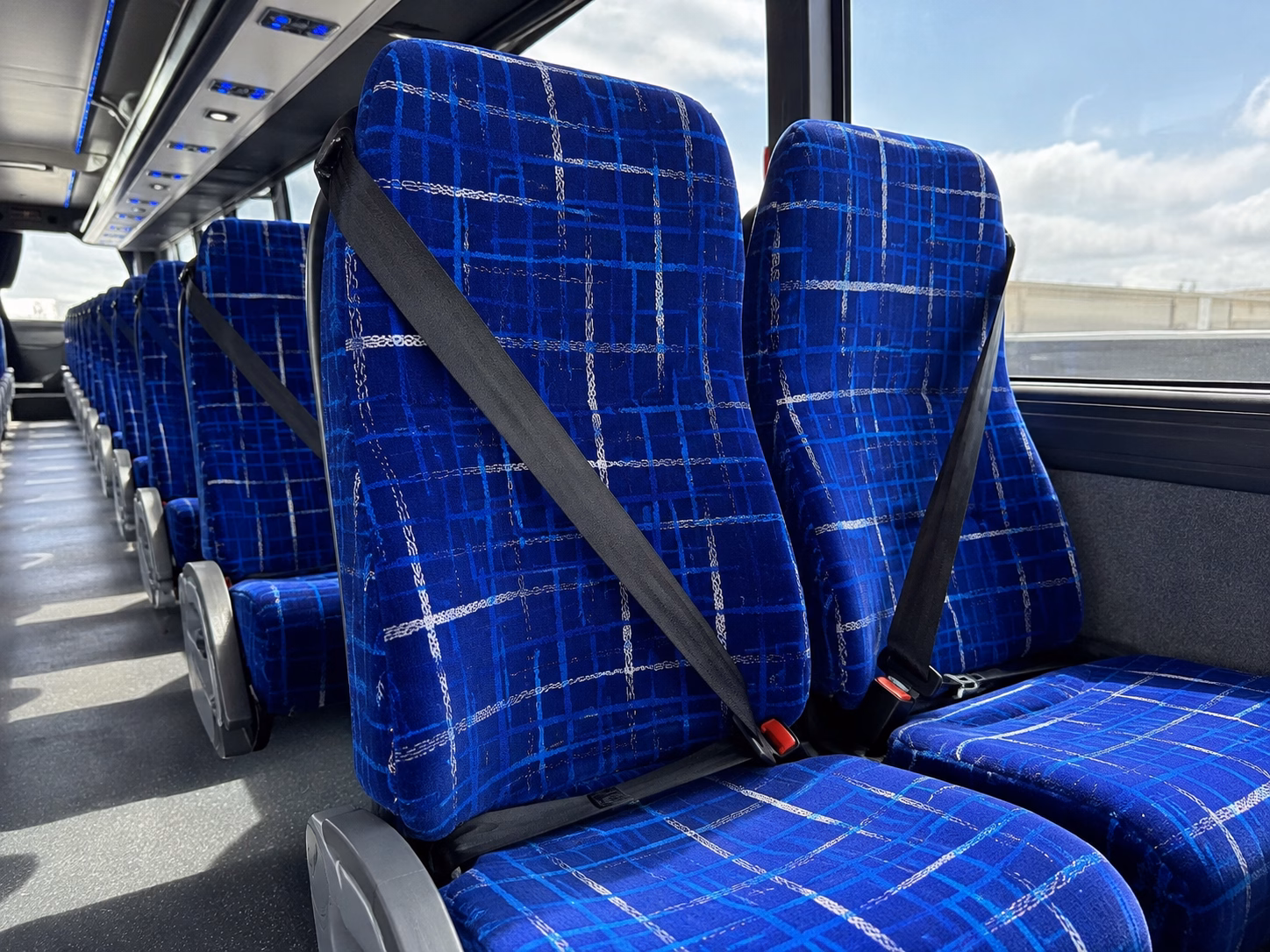 book a party bus for prom bachelorette nights and milestone celebrations in southfield