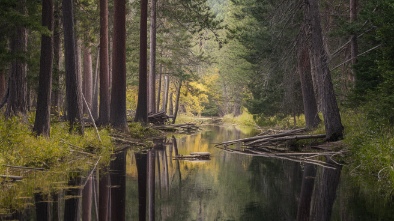 big beaver corridor